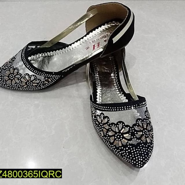 Fancy women's shoes