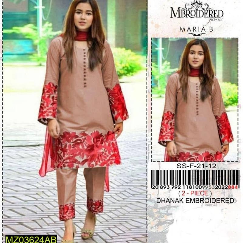 2pcs Dhanak suits collection